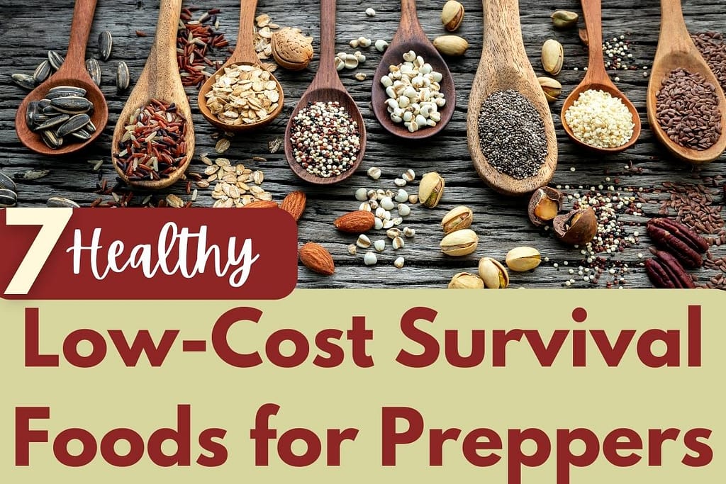 7 LowCost Survival Foods for Preppers OffGrid Rebel