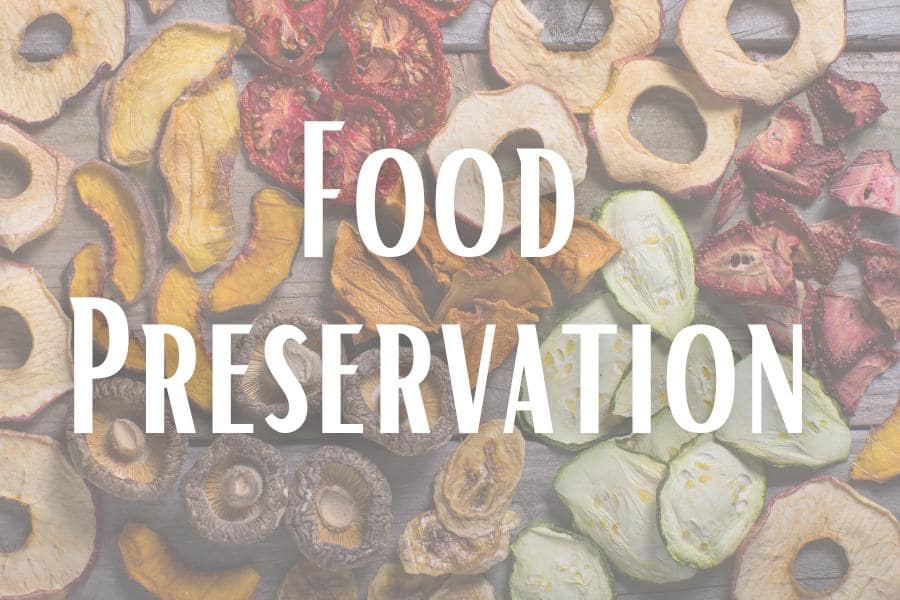 Picture of 10 Best Water Supply Strategies for Off-Grid Living That Every Family ...